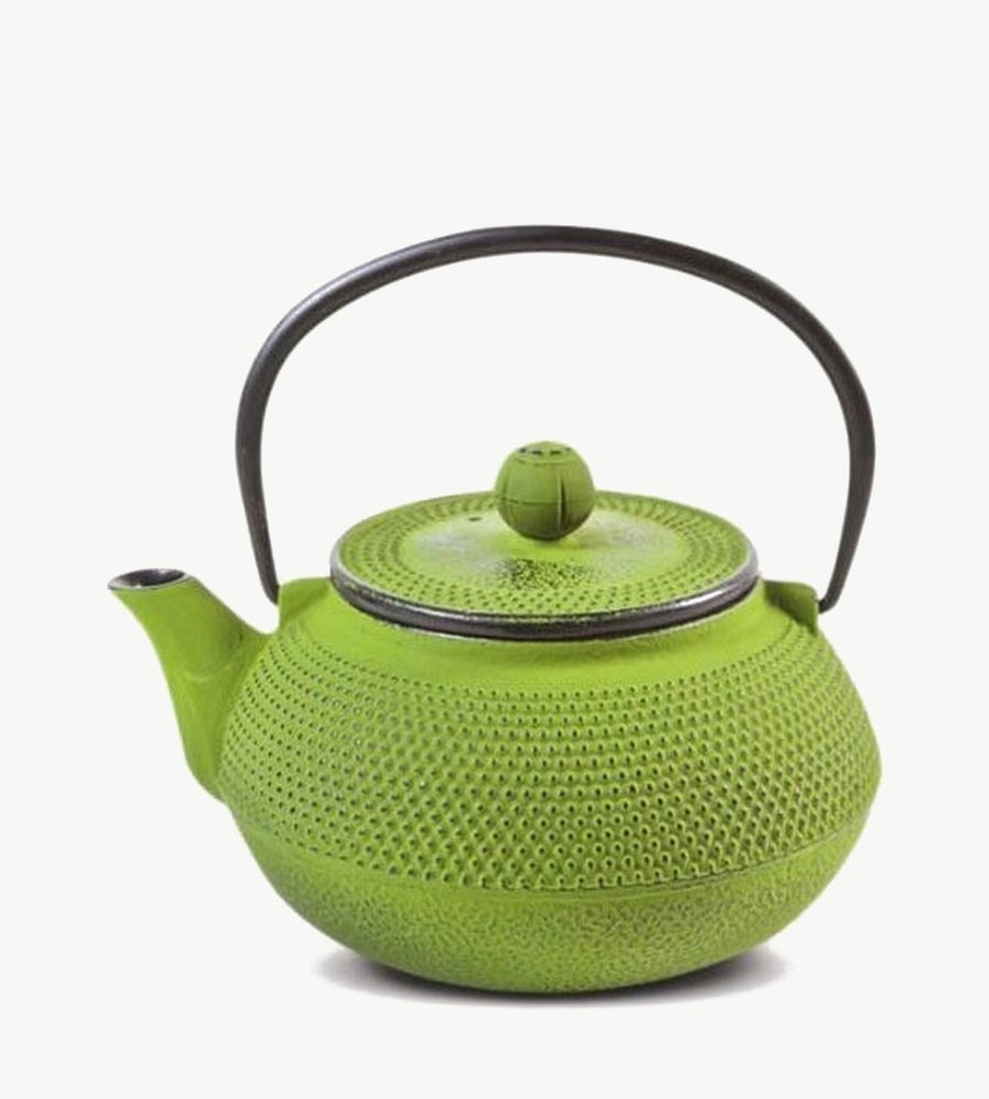 Iron Teapot - Light Green - 800 ml