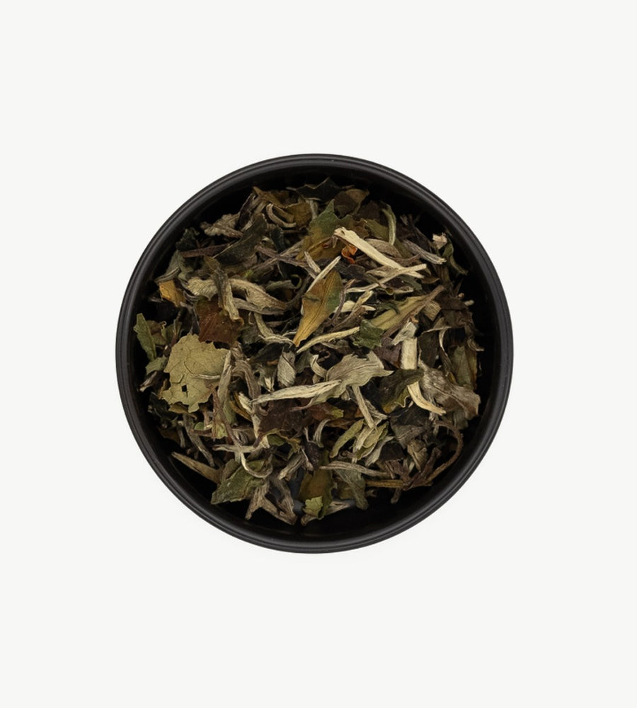 Pai Mu Tan Bio n°68