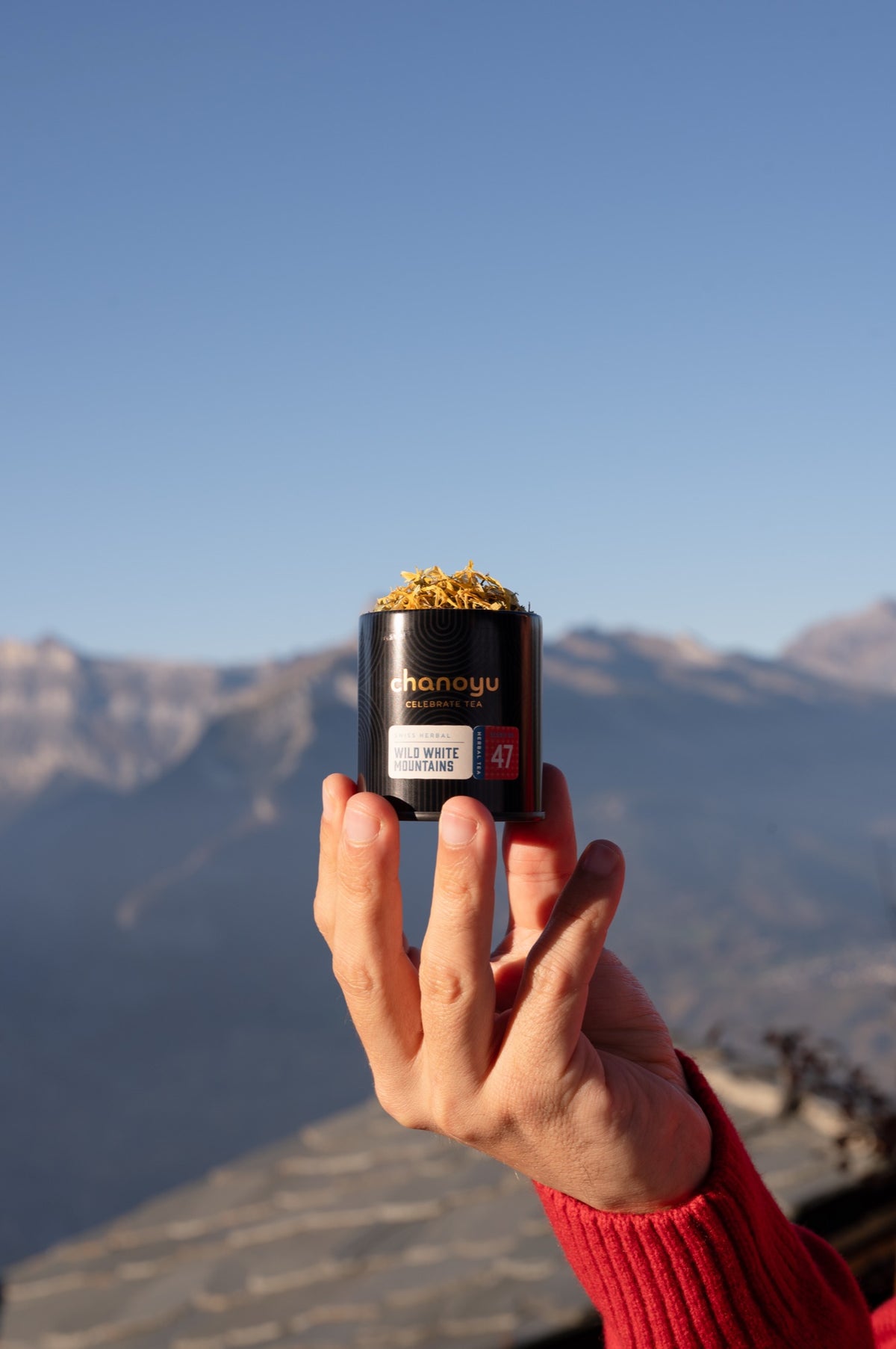 Une main tend une boîte de thé Chanoyu devant les montagnes
